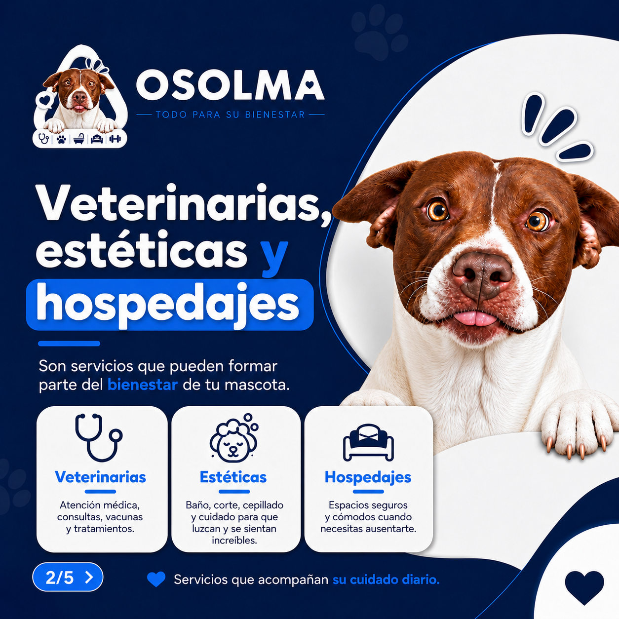 Logo de Veterinaria Polanco